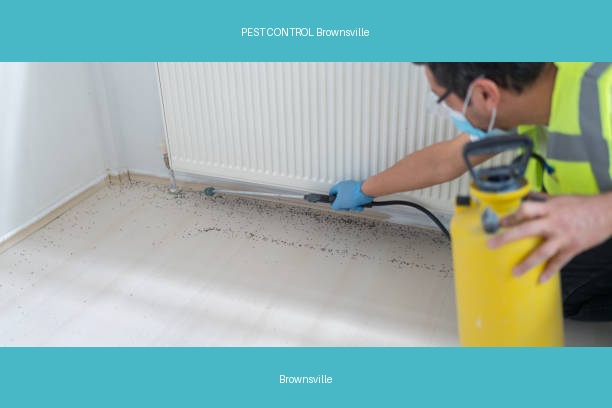 PEST CONTROL Brownsville